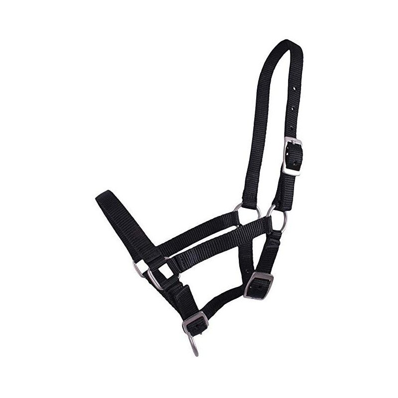 Licol poulain/shetland nylon