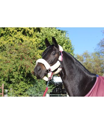 LICOL TEDDY NAT/BRDX