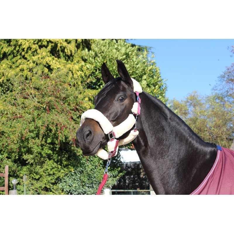 LICOL TEDDY NAT/BRDX