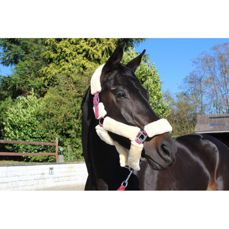 LICOL TEDDY NAT/BRDX