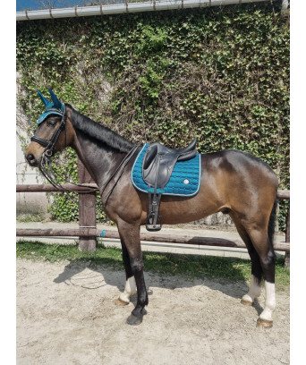 TAPIS + BONNET SPRINGOLD