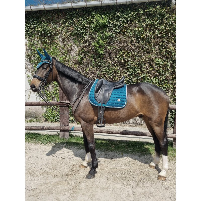 TAPIS + BONNET SPRINGOLD