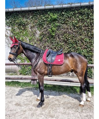 TAPIS + BONNET SPRINGOLD