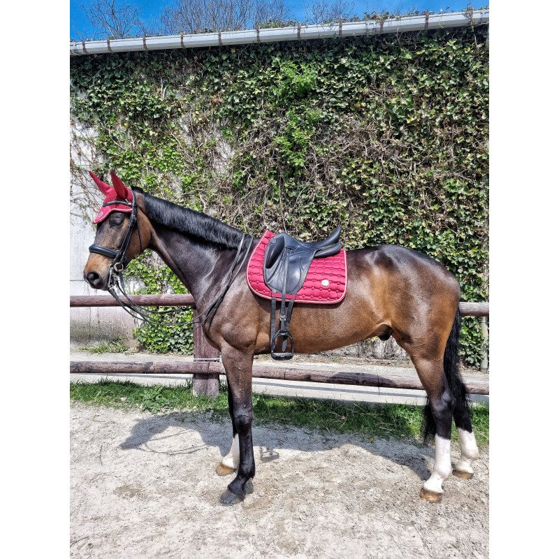 TAPIS + BONNET SPRINGOLD