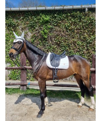 TAPIS + BONNET SPRINGOLD