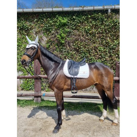 TAPIS + BONNET SPRINGOLD