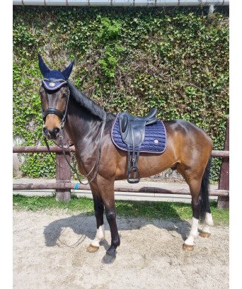 TAPIS + BONNET SPRINGOLD