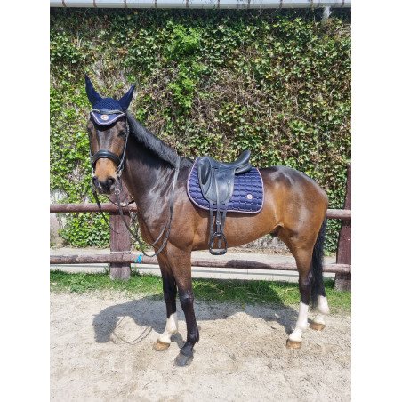 TAPIS + BONNET SPRINGOLD