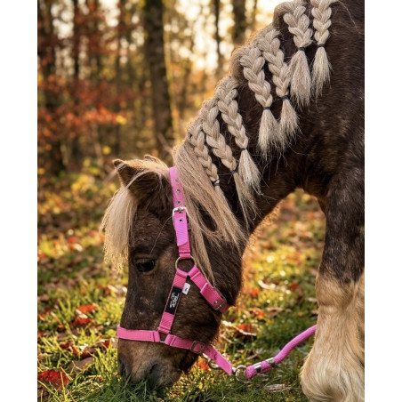 Licol poulain/shetland nylon