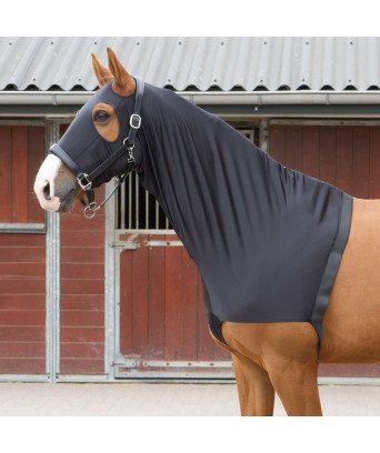 Protection épaule et tête