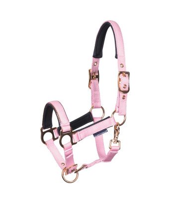 LICOL MINI SHETLAND OU POULAIN