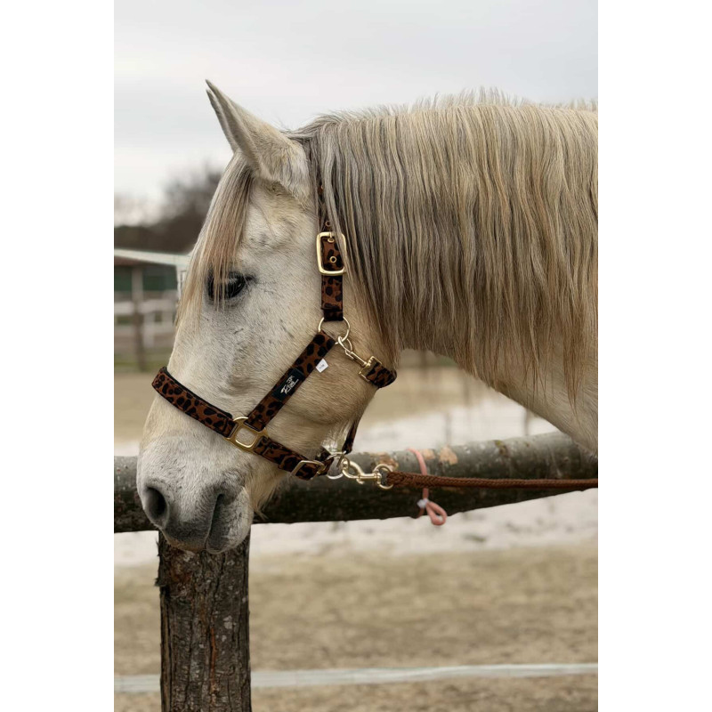 ENSEMBLE LEOPARD BRUN