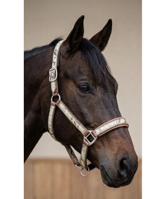 LICOL SERPENT BROWN BY CDG