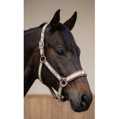 LICOL SERPENT BROWN BY CDG