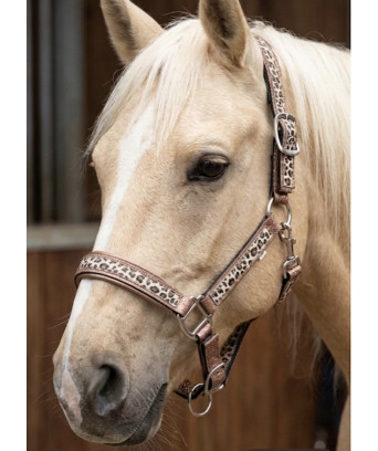 LICOL LEOPARD ET PAILLETTES