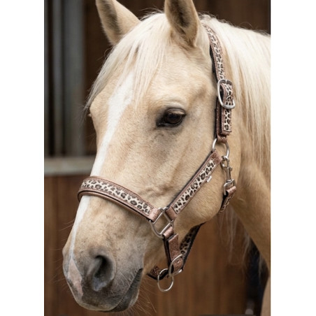 LICOL LEOPARD ET PAILLETTES