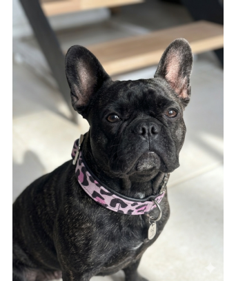 COLLIER CHIEN LEOPARD ROSE
