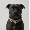 COLLIER CHIEN LEOPARD MARRON