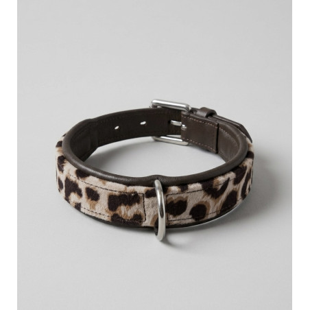 ENSEMBLE COLLIER/LAISSE