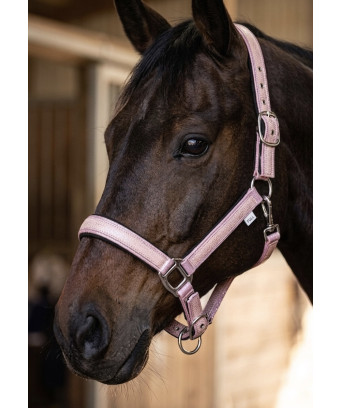 LICOL SERPENT BY CDG