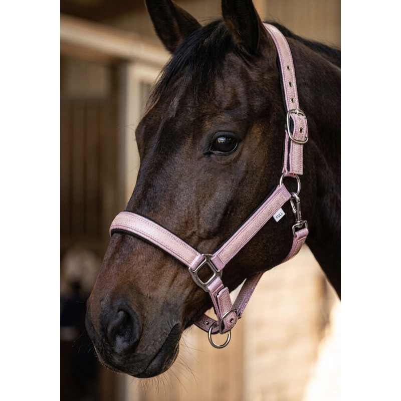 LICOL SERPENT BY CDG