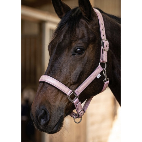 LICOL SERPENT BY CDG