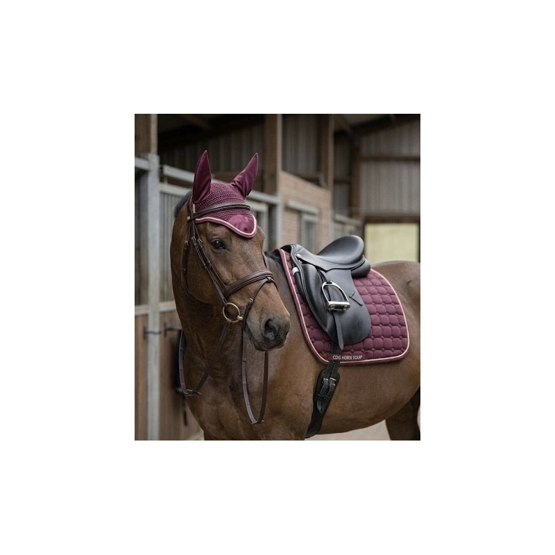 TAPIS + BONNET SPRINGOLD