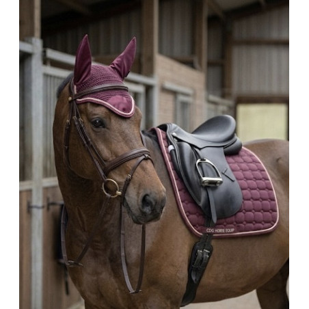 TAPIS + BONNET SPRINGOLD