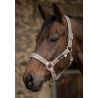 LICOL LEOPARD ET PAILLETTES CHAMPAGNE