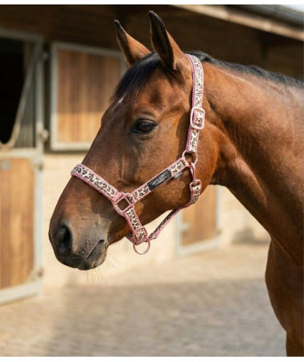 LICOL LEOPARD + PAILLETTES ROSE