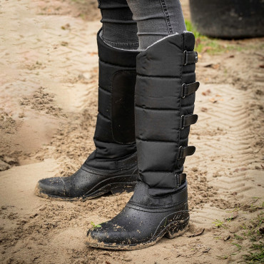BOTTES NORTH STAR
