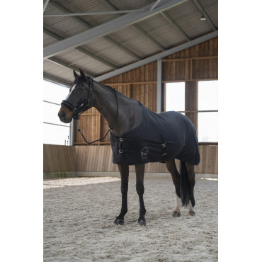 Couverture polaire séchante