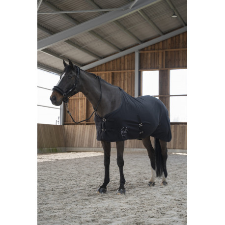 Couverture polaire séchante