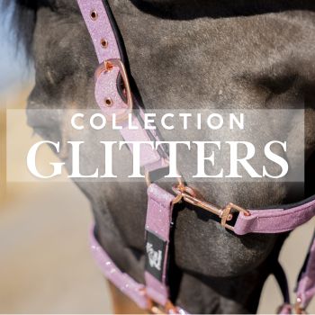 Collection Glitters