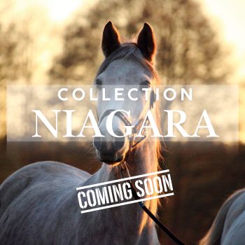 Collection Niagara