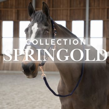 Collection Springold
