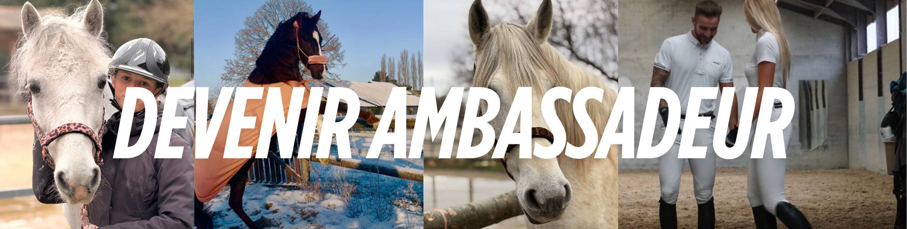 ambassadeur.png