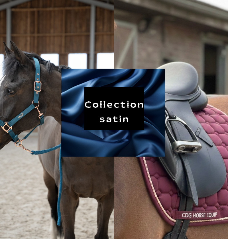 Collection Springold