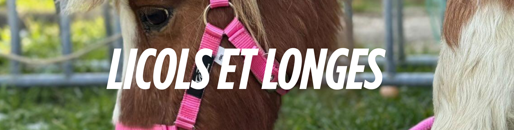 Licols & longes