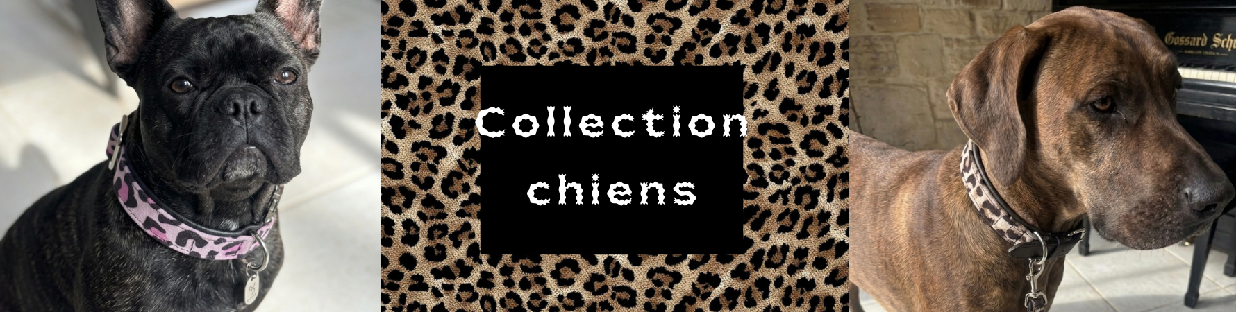 Collection Chien