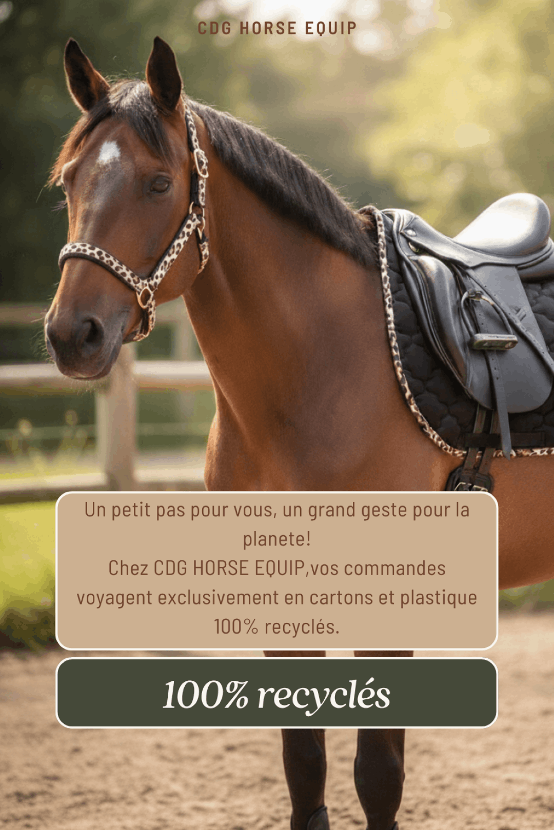 Stock Matériel Equitation